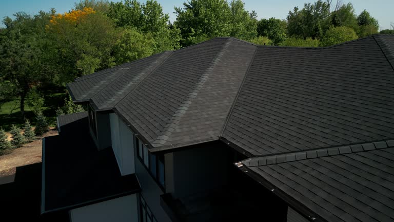 Best Steel Roofing  in Oak Hill, FL