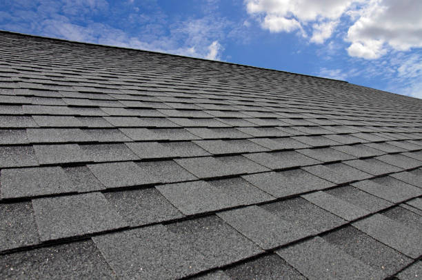 Best Roof Leak Repair  in Oak Hill, FL